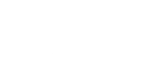 Volta brand logo